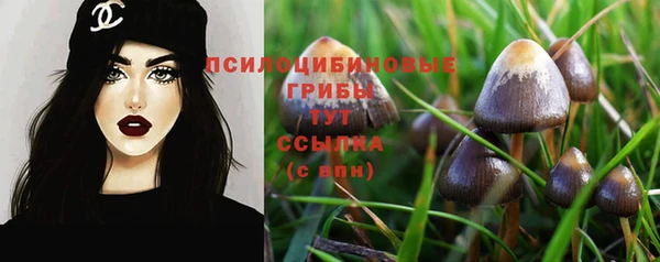 трава Пестово