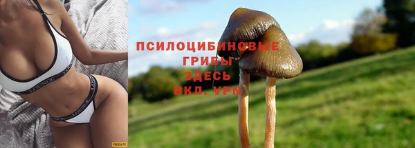 трава Пестово